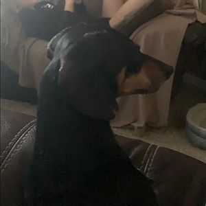 Meet your Posher, Shawn